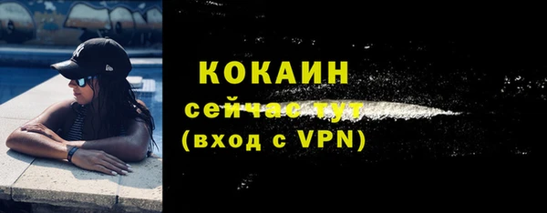 первитин Богданович