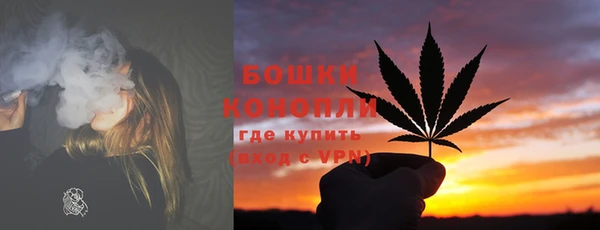 первитин Богданович