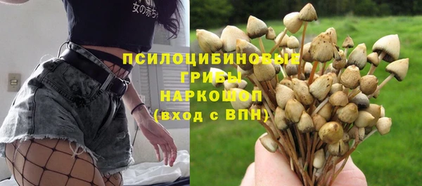 амф Белокуриха