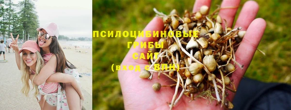 прущая мука Ростов